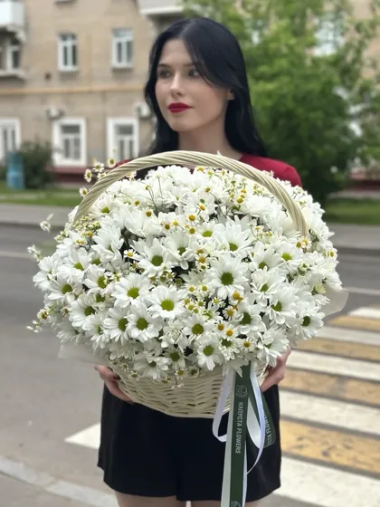 Большая корзина ромашек