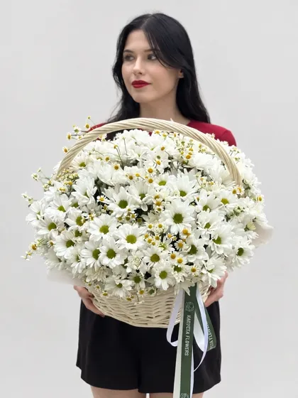 Большая корзина ромашек