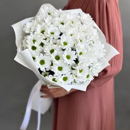 Букет белых кустовых ромашек (хризантем) 9 штук