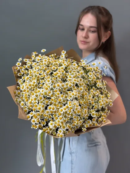Букет из 25 ромашек