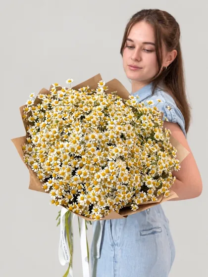 Букет из 25 ромашек