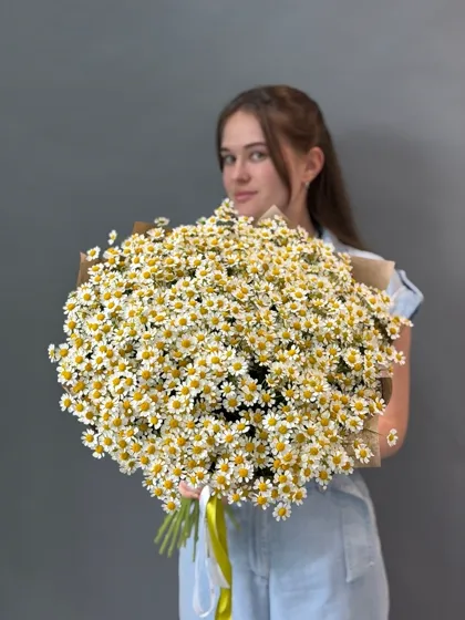 Букет кустовых ромашек 35 штук