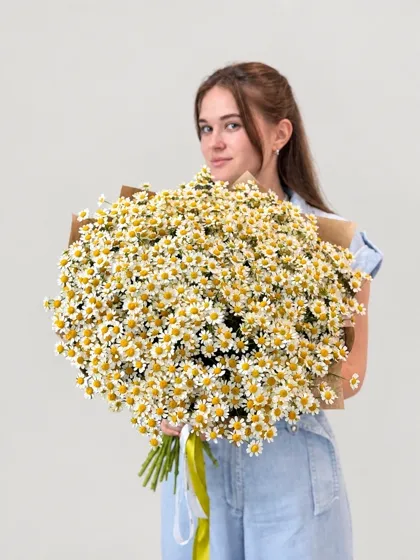 Букет кустовых ромашек 35 штук