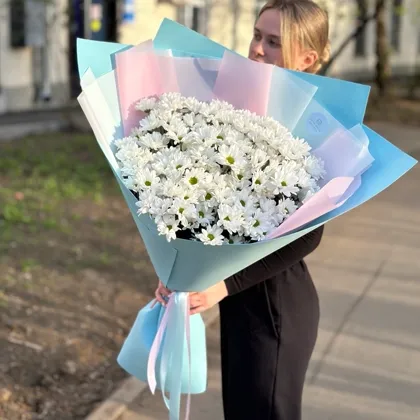 Букет-гигант из кустовых хризантем ромашек