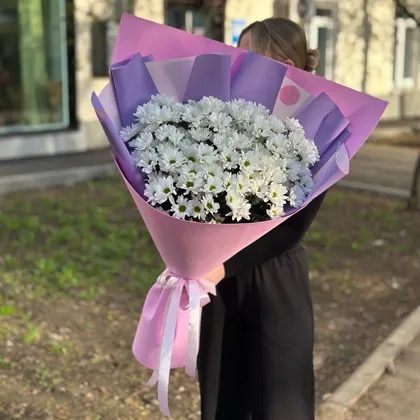 Букет-гигант из ромашек в розовом цвета